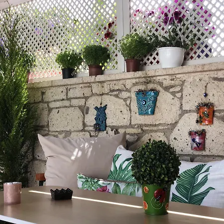 ホテル Windtown Deluxe *