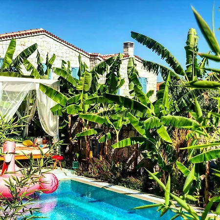 ホテル Windtown Deluxe *