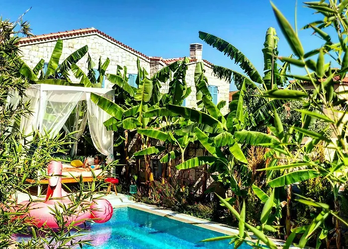 Отель Windtown Deluxe *